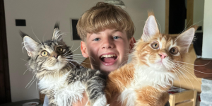 Copertina maine coon con i bambini