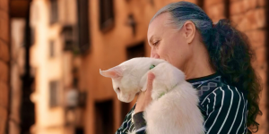 Allevamento Maine Coon a Ferrara, Bologna Emilia Romagna