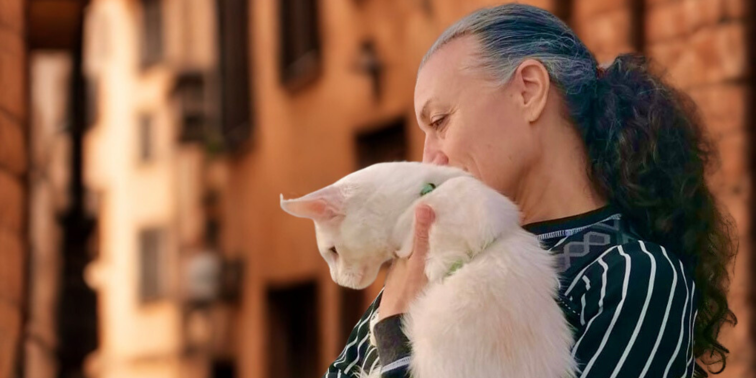 Maine Coon in Emilia Romagna: i cuccioli Whitewillow tra Ferrara, Bologna e tutta Italia